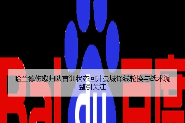 哈兰德伤愈归队首训状态回升曼城锋线轮换与战术调整引关注