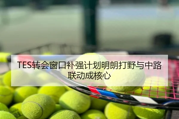 TES转会窗口补强计划明朗打野与中路联动成核心